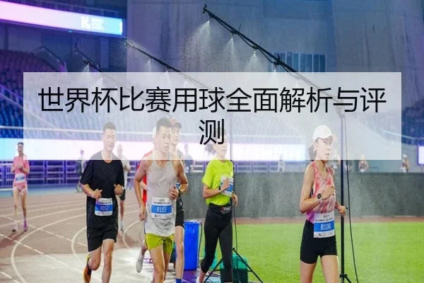 世界杯比赛用球全面解析与评测