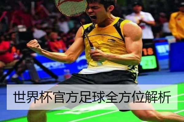 世界杯官方足球全方位解析